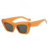 Triangle Cat's Eye Spring/Summer Bright Fashion Ladies Sunglasses Vintage Vacation Beach Accessories