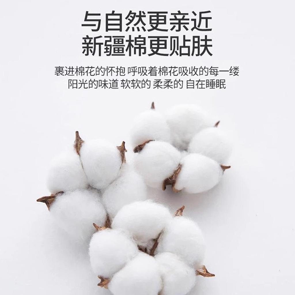Xinjiang Cotton Quilt