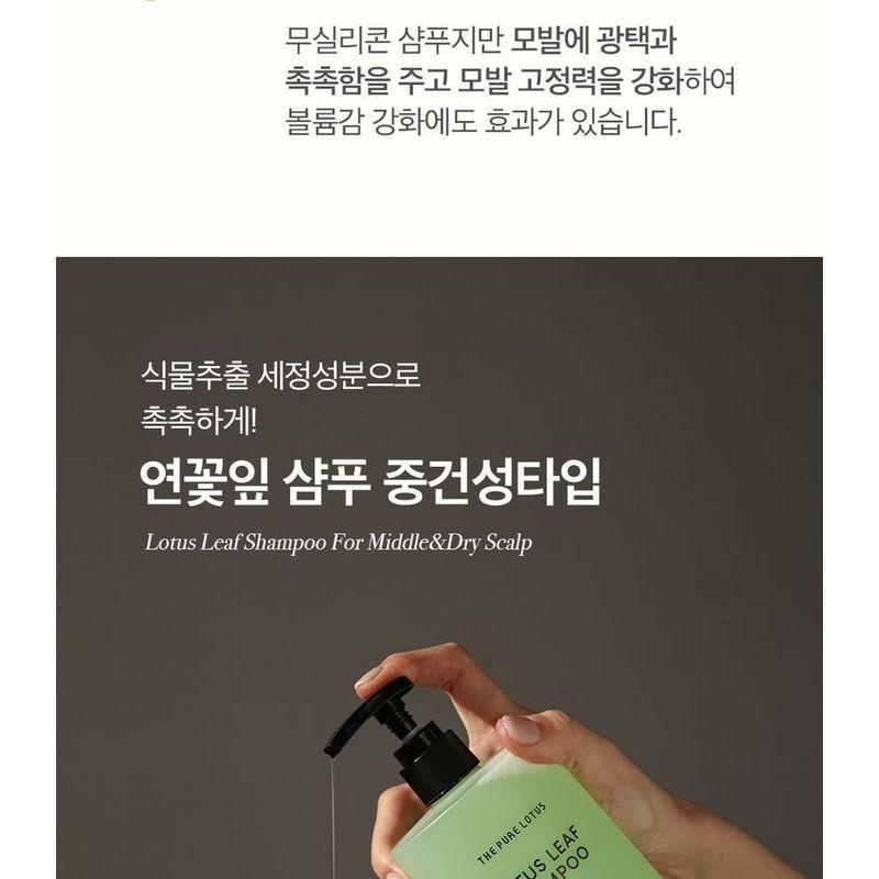 THE PURE LOTUS - Lotus Leaf Shampoo For Middle And Dry Scalp Jumbo