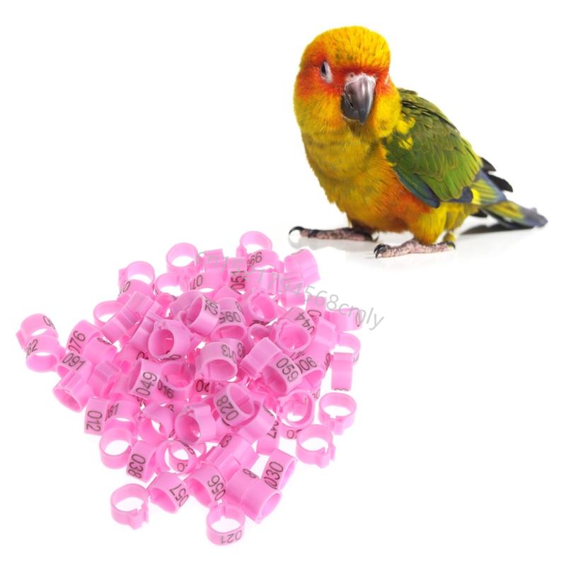 100 Pièces Anneaux de Patte d'Oiseau Poulet Anneaux de Patte d'Identification Dinde Anneaux de Patte de Volailles Clip pour Pigeons Oiseaux 10mm 6XDE