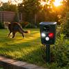 Animal for Cats and Dogs - Infrared Detection Outdoor Yard