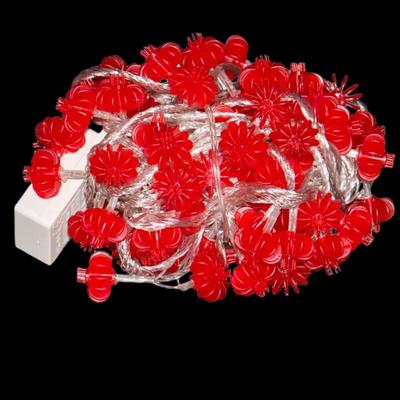 Chinese New Year Decorative String Lights