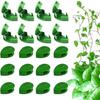 10pcs Self Adhesive Plant Clips Reusable Vine Holders For Securely Holding Climbing Plant In Indoor And Outdoor Spaces