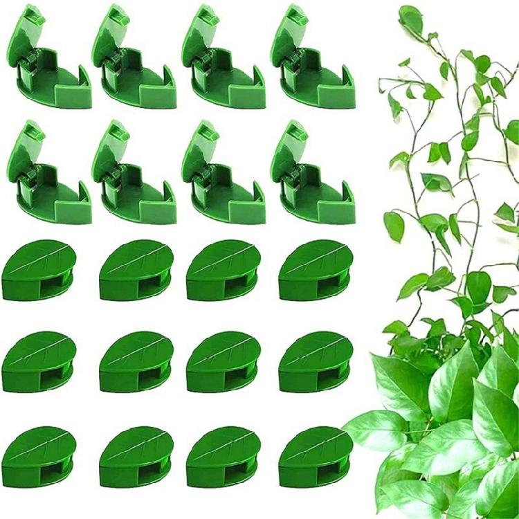 10pcs Self Adhesive Plant Clips Reusable Vine Holders For Securely Holding Climbing Plant In Indoor And Outdoor Spaces