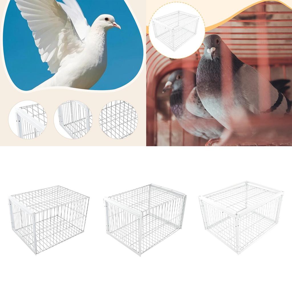 Vogelfalle Käfig Robuste Automatische Taubensammler Automatische Vogelfalle für Lagerhäuser