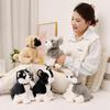 Cute Husky Schnauzer Shar Pei Plush Dog Doll in Boy Outfit