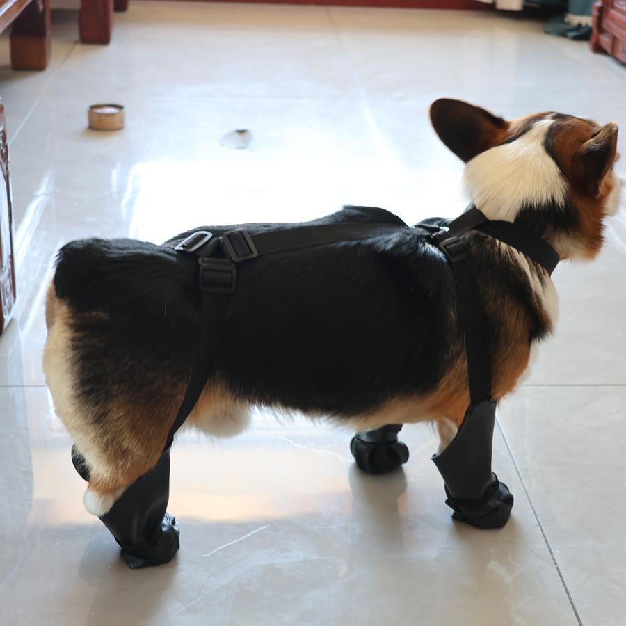 Dustproof Waterproof Pet Paw Protectors - All-Season Outdoor Dog Shoes