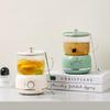 Portable Electric Tea & Health Pot Gift Set