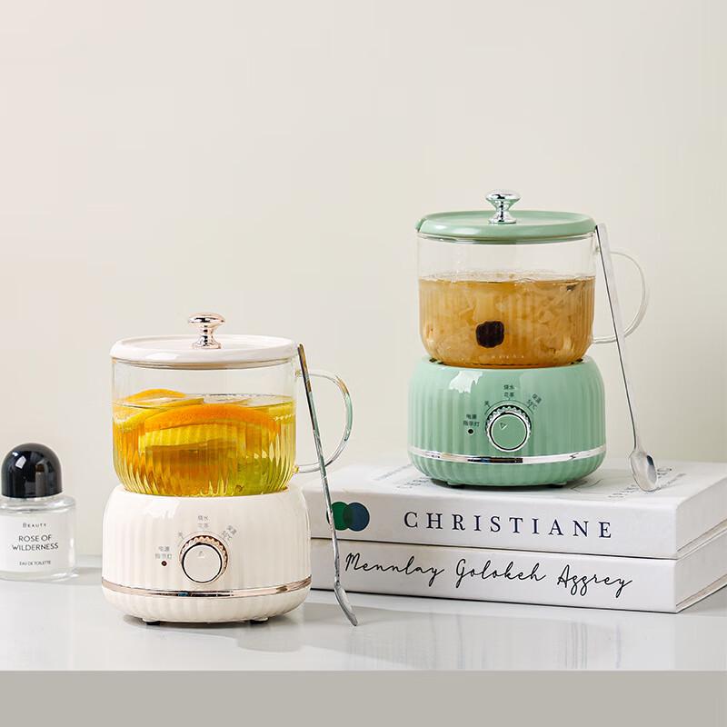 Portable Electric Tea & Health Pot Gift Set