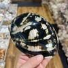 Home Decoration Red Pattern Abalone SeaShells Home Accessories Conch Fish Tank Aquarium Creative Decoration Lucky Conch Specimen