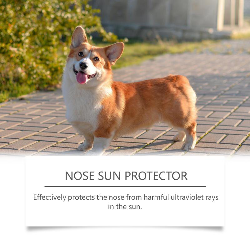 2-in-1 HundePfotenBalsam und Sonnenschutz Feuchtigkeitscreme Reparaturcreme für rissige Ballen und Nase Bester Outdoor-Sonnenschutz