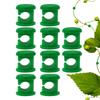 10Pcs Plant Climbing Wall Fixer Green Plant Invisible Fixing Device Vine Clip FastenerSnap Traction Shaping