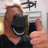 Novinka Latexové masky s konskou hlavou na halloweenske kostýmy pre dospelých