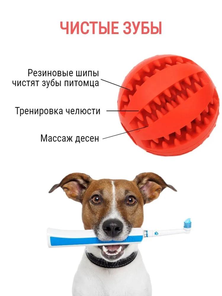 

Мяч-укол, арбузные шарики, плюшевый щенок, декомпрессионный эластичный резиновый мяч, чистка зубов питомца, скрежет зубов, утечка, мяч, игрушки для собак One Size красный