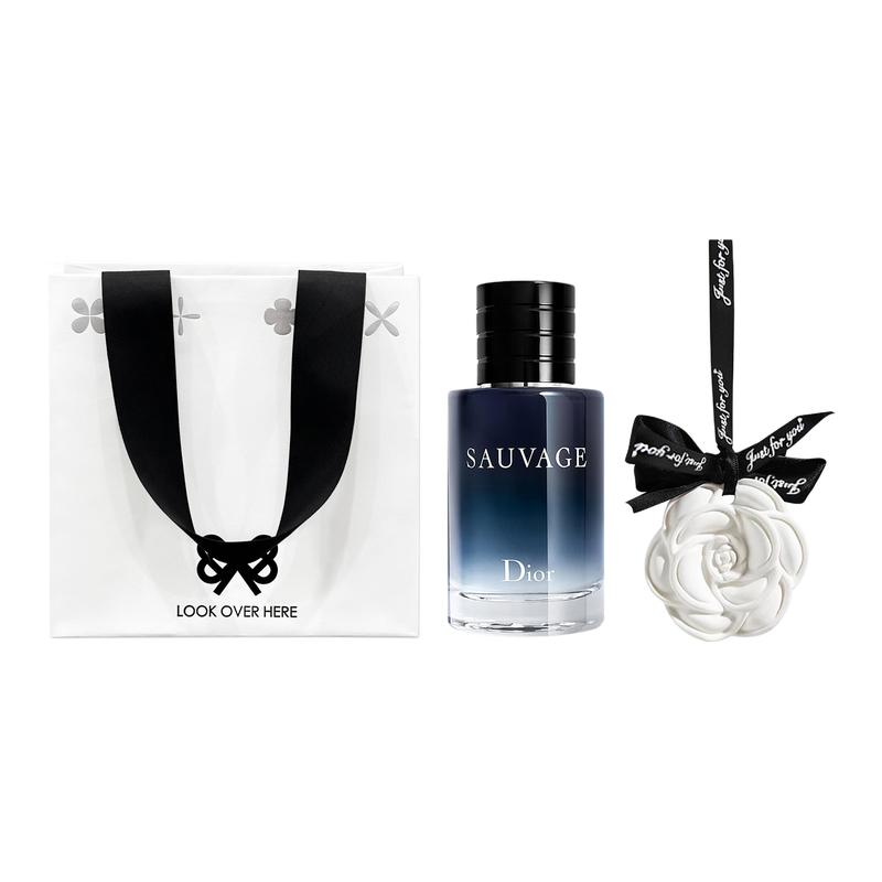 DIOR Wilderness Men s Eau de Toilette Sample Set Aromatherapy Galaxy Gift Bag Fougere Fragrance Eau de Toilette EDT Bergamot Pepper Lavender 10ml белый