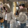 Removable hat high waist big fur collar hooded short cotton-padded jacket  winter new cotton-padded jacket thin jacket jacket