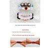 Handmade Rhinestone Dog Hair Clip for Yorkshire Terrier & Maltese