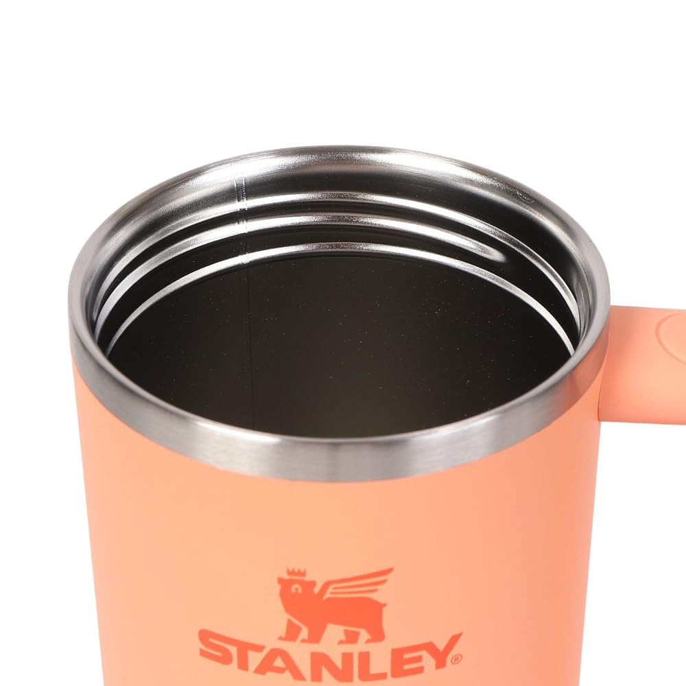 STANLEY Wasserflasche Flasche Becher Vakuum Slim Quencher NECTARINE H2.0 0,88L 10-11825-197 (Flash Orange/FF)