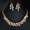 Bridal Banquet Dress Jewelry Imitation Pearl Necklace Earrings Two-piece Set