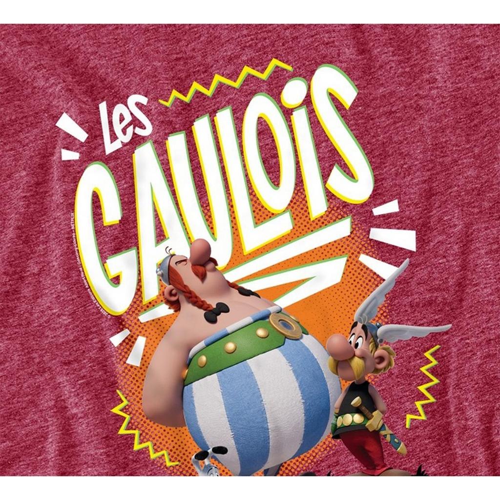 Asterix Unisex Adult The Heroic Gauls Heather T-Shirt