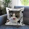 Cute Funny Cat Meme Maple Design Cushion Cover Happy Autumn Harvest Decor Holiday Decorati Pillow Cover