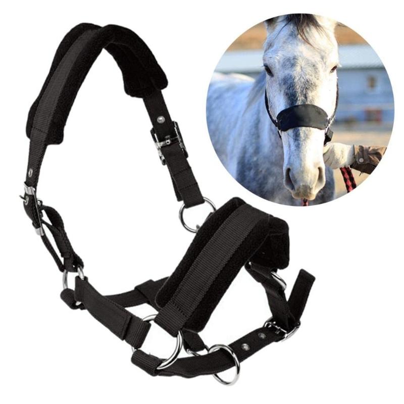 Durability Metal Eye Hook Horse Headgear For Secure Cycling And Training With Rustproofed Stable Bridle Hardware