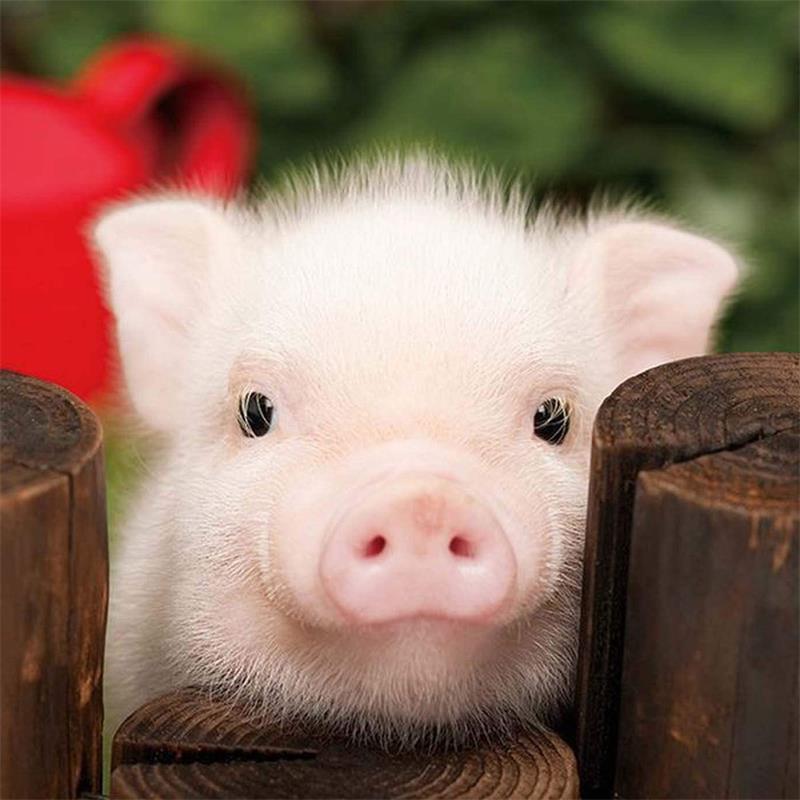 5D-Diamant-Malerei, rund, DIY-Malset, Diamant-Malerei, Kreuzstich-Set, Mosaik-Kunsthandwerk