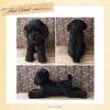 Ninian Kino Plush Toy Realistic Toy Poodle Freely 33cm in Lifelike Pet & Dog, (Black), Poseable, Approx. Length,