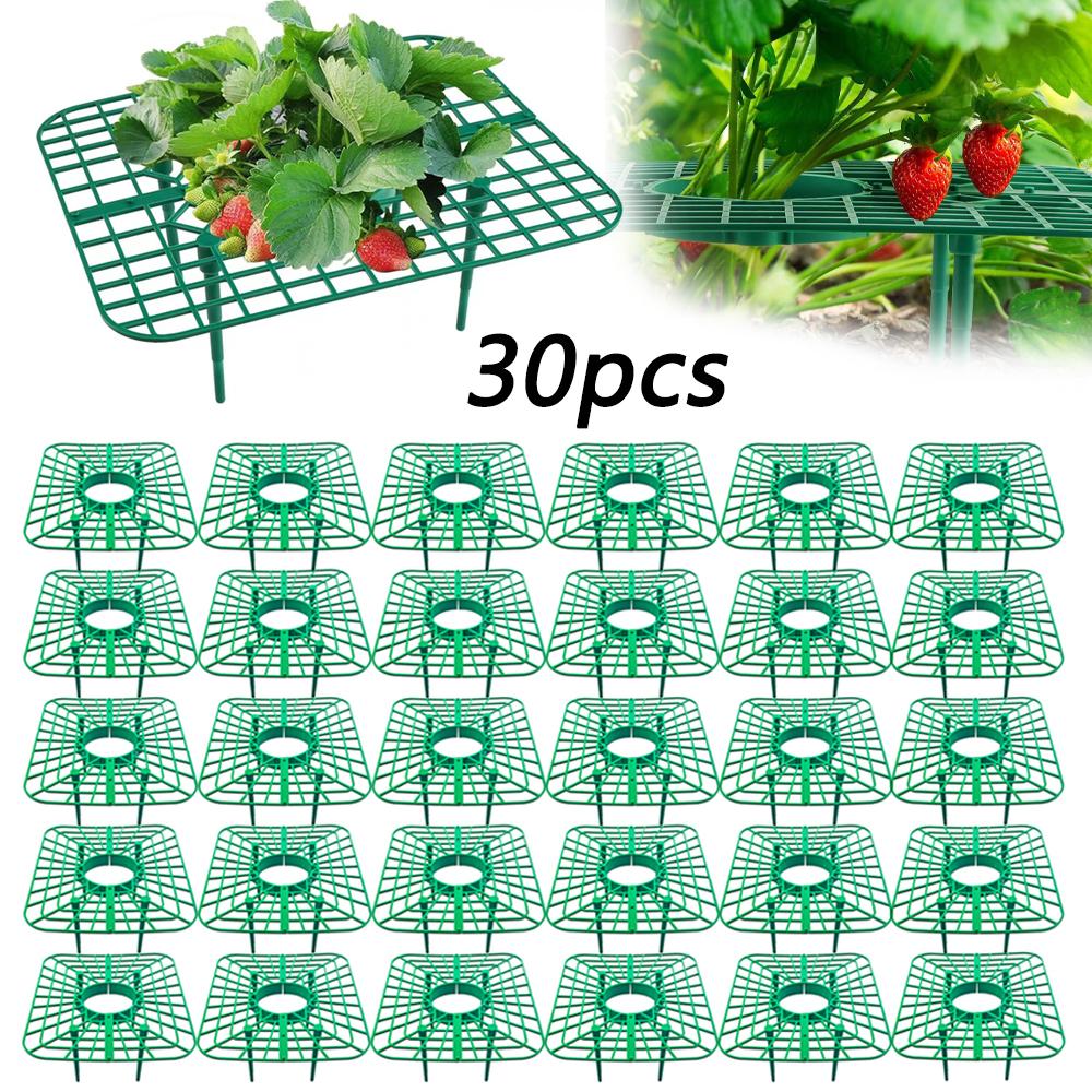 

30-50 шт. Пластиковая подставка для клубники, Поддон для клубники, Антисептическая подставка для выращивания клубники, Подкладка для поддержки плодов растений, Садовые аксессуары для растений 30pcs