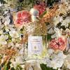 Guerlain Aqua Allegoria Nerolia Vetiver – Eau De Toilette