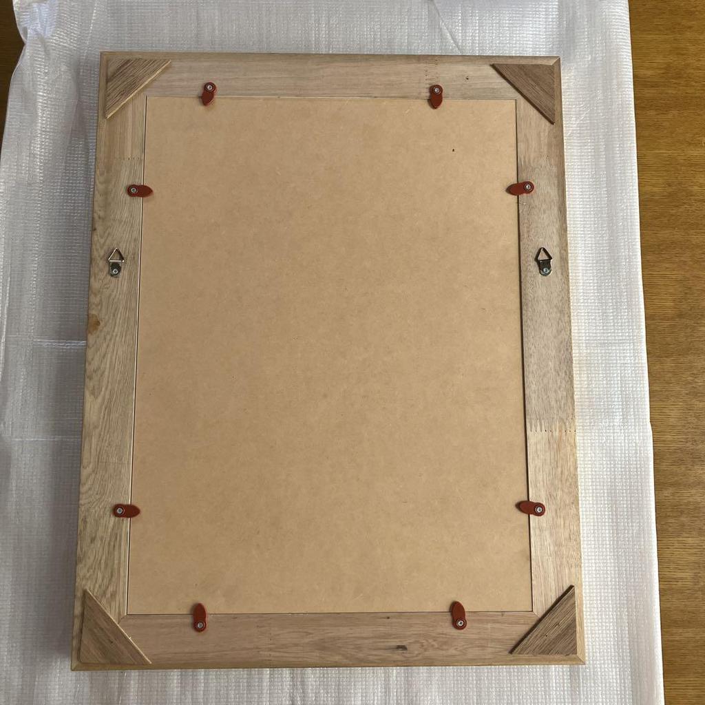 [USED] Ichiro Tsuruta Art Poster Print