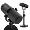 Accesorii audio și video – Microfoane