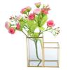 Glass Storage Container Garden Polygonal Column Golden Brass Bar Welding Flower Room Box