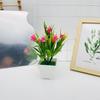 Artificial Cymbidium Potted Plant For Photography And Home Decoration Projects