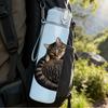 1PC Tabby Cat Curled Up Sleep Print 750ml Color Plastic Sports Water Bottle Leakproof Flip Straw Lid Suitable for Sports Office Home Use