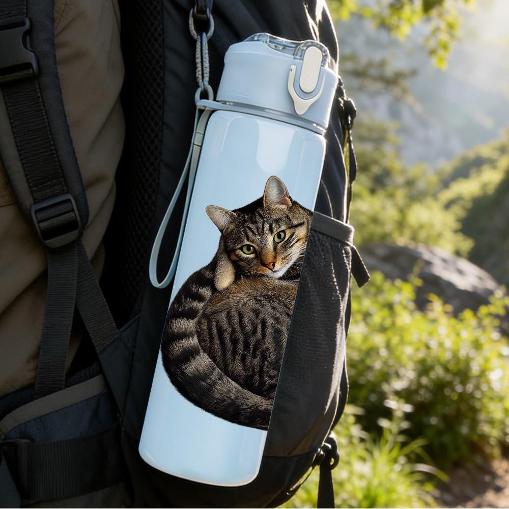 1PC Tabby Cat Curled Up Sleep Print 750ml Color Plastic Sports Water Bottle Leakproof Flip Straw Lid Suitable for Sports Office Home Use