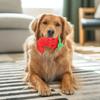 Plush Chilli Dog Toy Squeaky Dog ??Chew Toy Interactive Soft Stuffed Pepper Teething Toy for Puppy Cat Teeth Cleaning Anxiety Relief