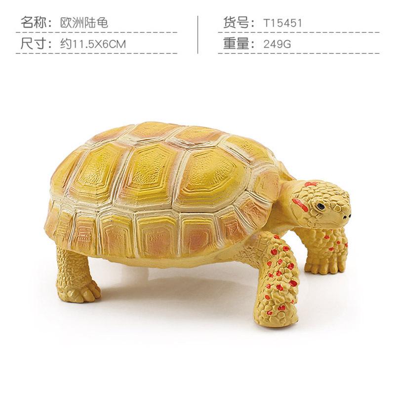 Simulation Amphibian Reptile Model Tortoise Tortoise Star Tortoise Static Decoration Cognitive Ornament Toy