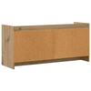TV Cabinet 102 x 33 x 47 cm Artisan Oak Particleboard