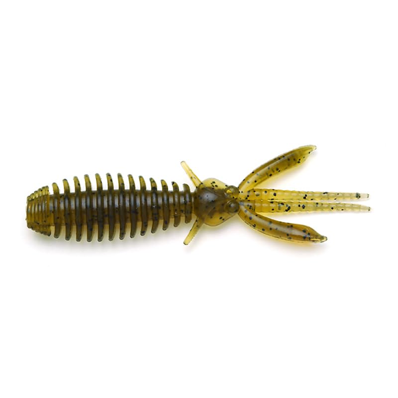 Raid Japan GREENPUMPKIN SEED EGU-BUG 001.