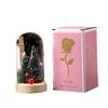 Christmas tree night light immortal flower cartoon ornament desktop decoration table LED light gift ornament