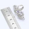 Fashion Accessories 3a Purple Zircon Plated Platinum Jewelry Set for Womens Wedding