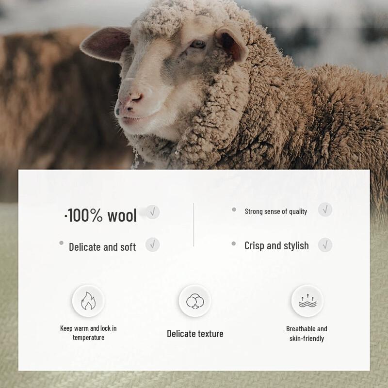 Caizi Men's 100% Wool Pullover Sweater