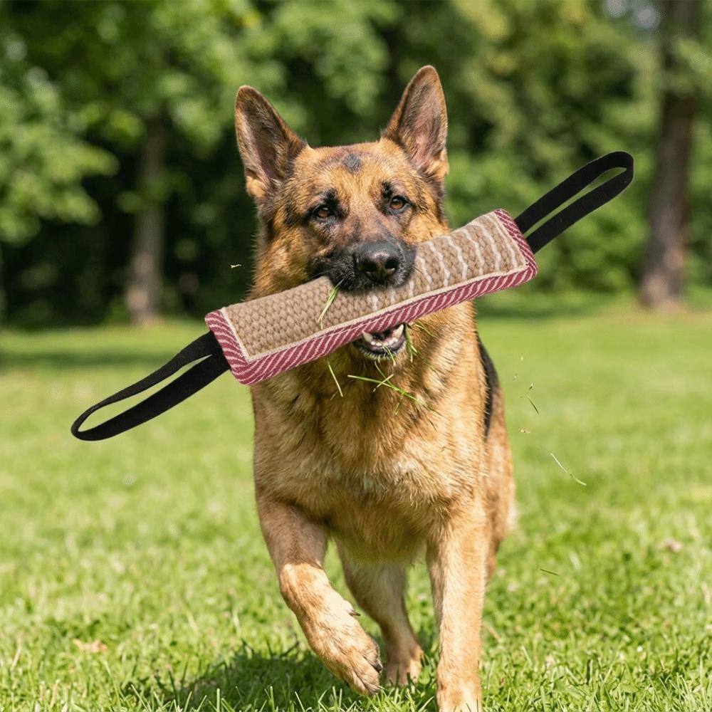 Woven Fiber Dog Training Stick Tough Texture Dog Molar Stick Dog Tug Stick Dog Training