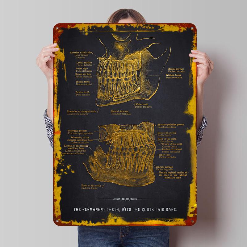 

Human Teeth Anatomy Poster Customized Wall Art Vintage Metal Signs Retro Tin Plaque for Man Cave House Decor Wand Deko Room Home 7.9x11.8In(20x30cm)