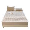 Thick Velvet Fleece Mattress Pad: Warm Coral Fleece Winter Quilt for Dorms and Home