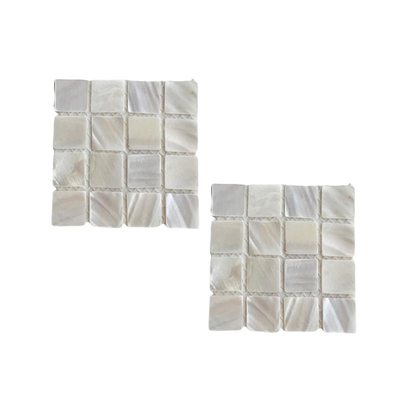 Set of 2 Shell Coasters Easy to Clean and Maintain Table Mats for Daily Use