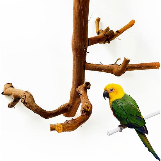 Allazone 4-Piece Bird Perch - Natural Grapevine Stick Swing Chewing Toys for Parrot Cages, Cockatiels, Parakeets, Finches
