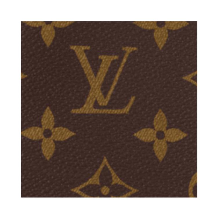 Louis Vuitton Passport Cover Safran Yellow/Brown Monogram Canvas Men Wallets M12827