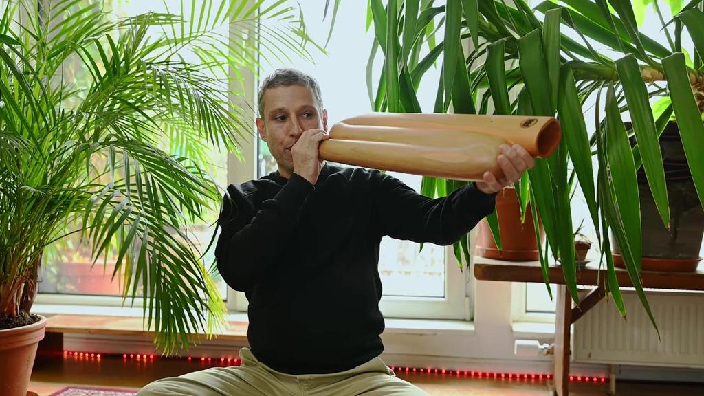 MEINL Sonic Energy Collection Didgeridoo Z-Shaped Pro TuningD DDPROFZD